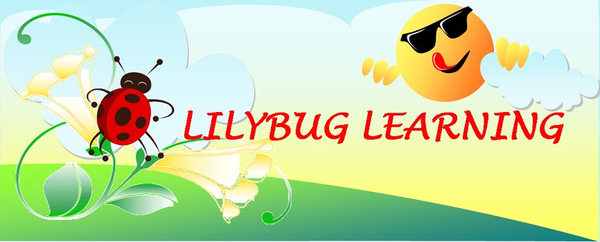 Lilybug Learning Home Day Care | 446 Kent St, Port Perry, ON L9L 1N6, Canada | Phone: (905) 982-2739