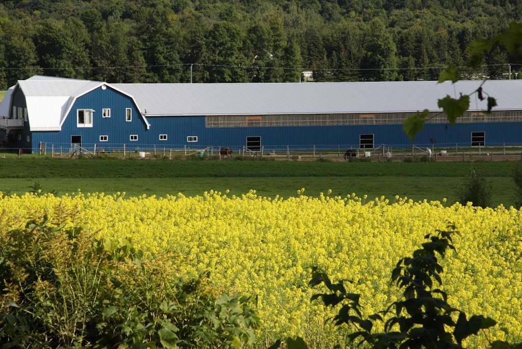 Centre Équestre Passion | 197 Chem. Saint-Henri, Sainte-Marthe, QC J0P 1W0, Canada | Phone: (450) 458-7478