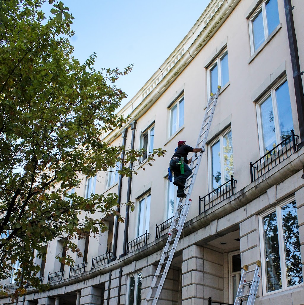 TNZ Windows & Eaves Cleaning Inc. | 66 Broadway Ave Suite 1606, Toronto, ON M4P 1T6, Canada | Phone: (647) 761-4762