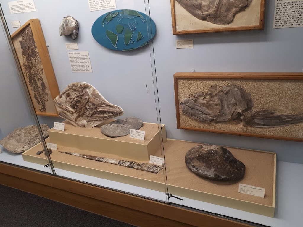 Paleontology Museum | Earth Sciences Building, Edmonton, AB T6G 2E3, Canada | Phone: (780) 492-2518