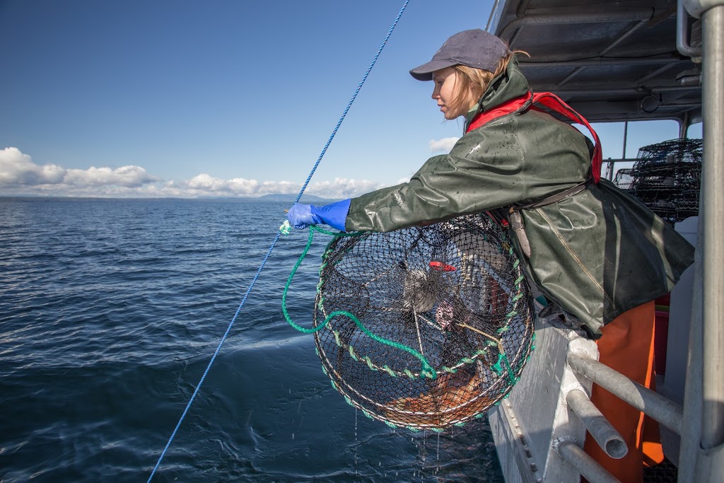 Pacific Prawn Fishermen’s Association | 2174 Sun Valley Dr, Nanaimo, BC V9T 6K6, Canada | Phone: (250) 802-3483