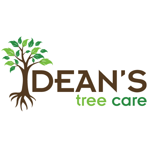 Deans Tree Care | 796191 3rd Line E, Mulmur, ON L9V 0H2, Canada | Phone: (416) 843-4200