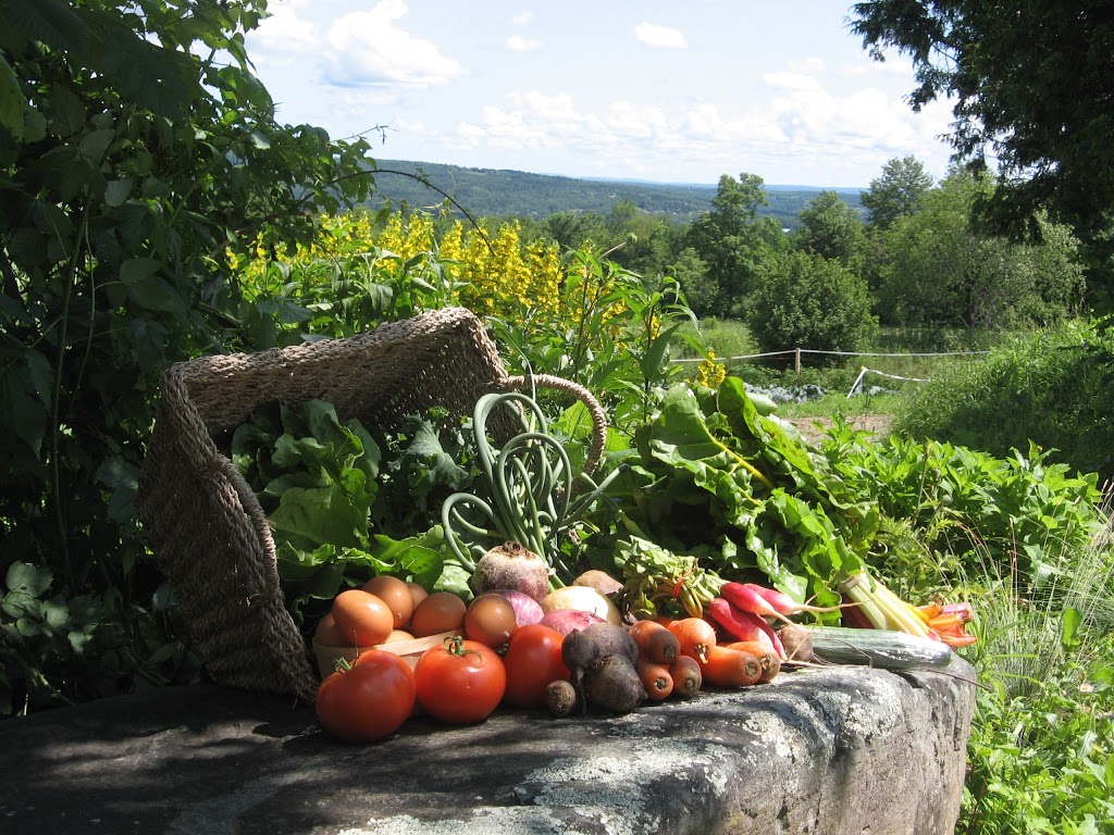 Le Potager dÉmylou | 105 Chemin dHaskell Hill, North Hatley, QC J0B 2C0, Canada | Phone: (819) 562-4205