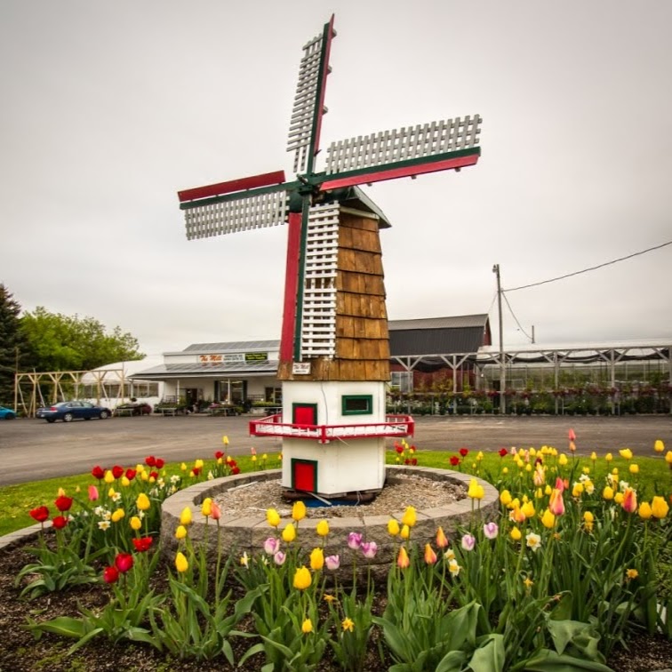 The Mill Greenhouses & Garden Centre | 2718 Highway 3 Port Colborne East, ON L3K 5V3 Canada, Port Colborne, ON L3K 5V3, Canada | Phone: (905) 834-7466