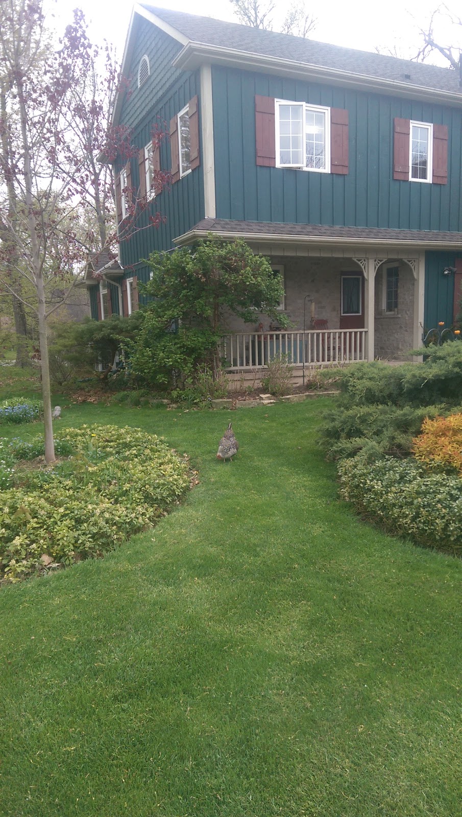 Applewood Hollow Bed & Breakfast | 2230 Four Mile Creek Rd, Niagara-on-the-Lake, ON L0S 1J0, Canada | Phone: (905) 468-0408