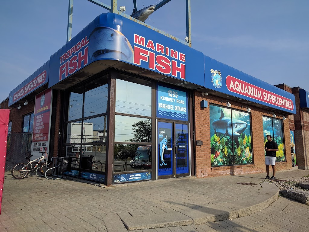 Big Als Aquarium & Pet Supercentres - Scarborough | 1295 Kennedy Rd, Scarborough, ON M1P 2L4, Canada | Phone: (416) 757-3281