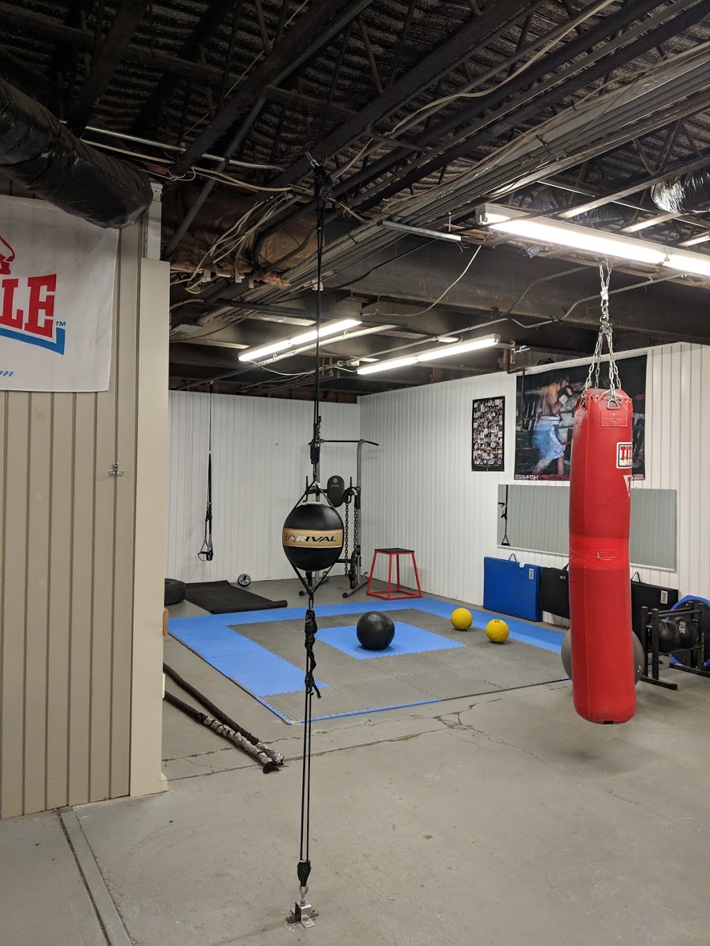 Fightnight Boxing Club (Gonzalez) | 2421 Hyde Park Blvd, Niagara Falls, NY 14305, USA | Phone: (716) 299-8797