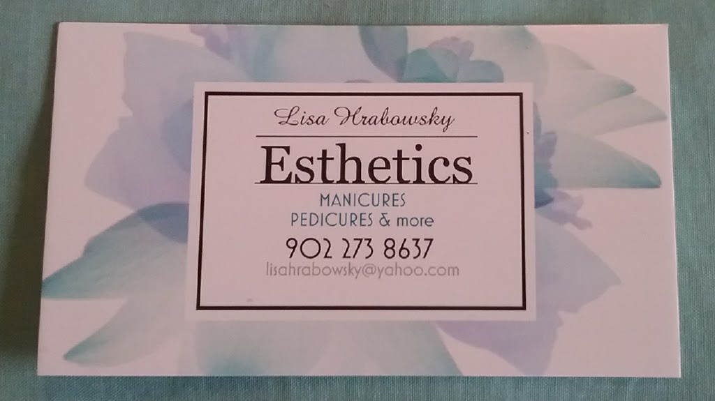 Lisa Hrabowsky Esthetic Services | 65 King St, Chester, NS B0J 1J0, Canada | Phone: (902) 273-8637