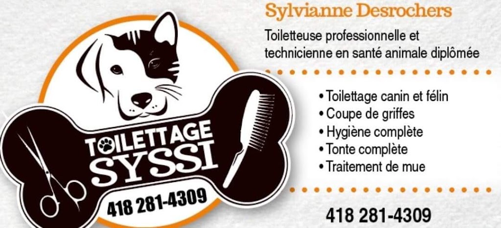 Toilettage Syssi | 117 Rue Renaud, Laurierville, QC G0S 1P0, Canada | Phone: (418) 281-4309