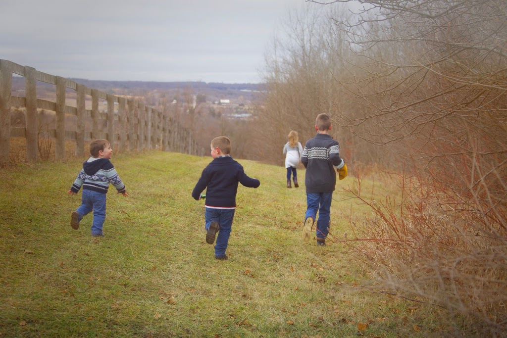 Mt. Nemo Creek Farm & Photography | 5565 Guelph Line, Burlington, ON L0P 0A5, Canada | Phone: (905) 320-2606