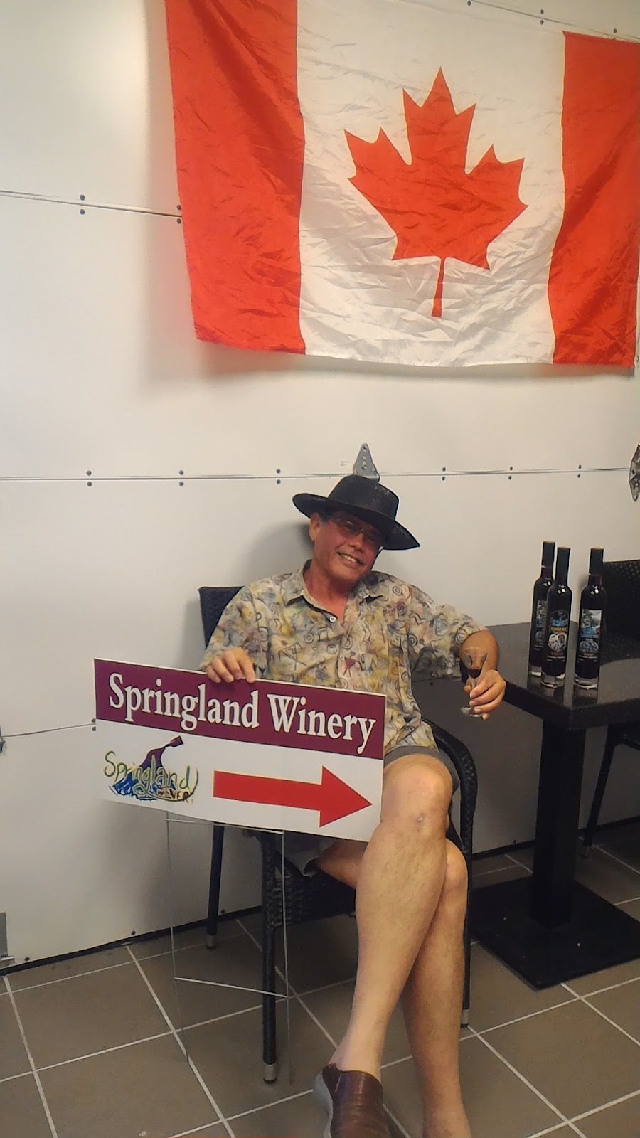 Springland Winery | 6962 236 St, Langley, BC V2Y 2H8, Canada | Phone: (778) 866-8668