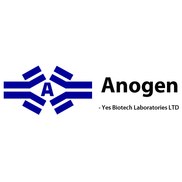 Anogen - Yes Biotech Laboratories Ltd | 2355 Derry Rd E #23, Mississauga, ON L5S 1V6, Canada | Phone: (905) 677-9221