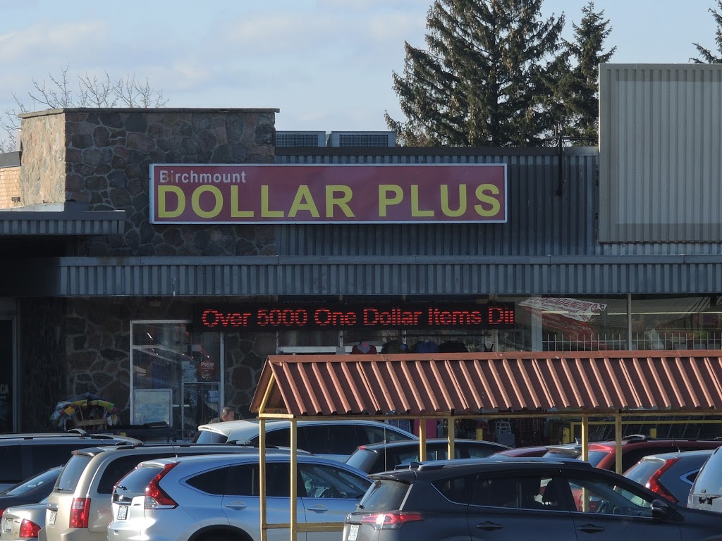 Birchmount Dollar Plus | 462 Birchmount Rd, Scarborough, ON M1K 1N8, Canada