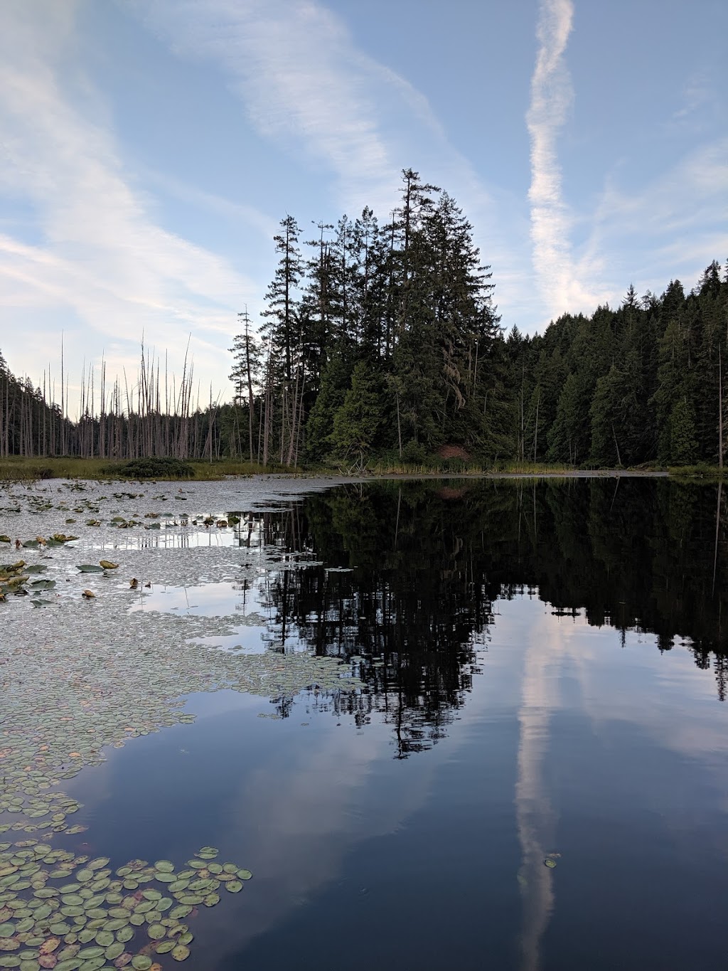 Tutus Cabin | 3163 Jemima Rd, Denman Island, BC V0R 1T0, Canada | Phone: (250) 335-0546