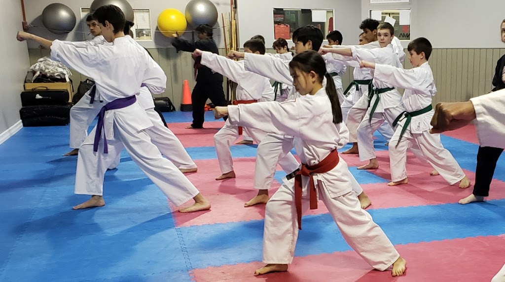 The Brampton Academy Of Martial Arts (AMA) | 13 Fisherman Dr, Brampton, ON L7A 2X9, Canada | Phone: (905) 450-9927