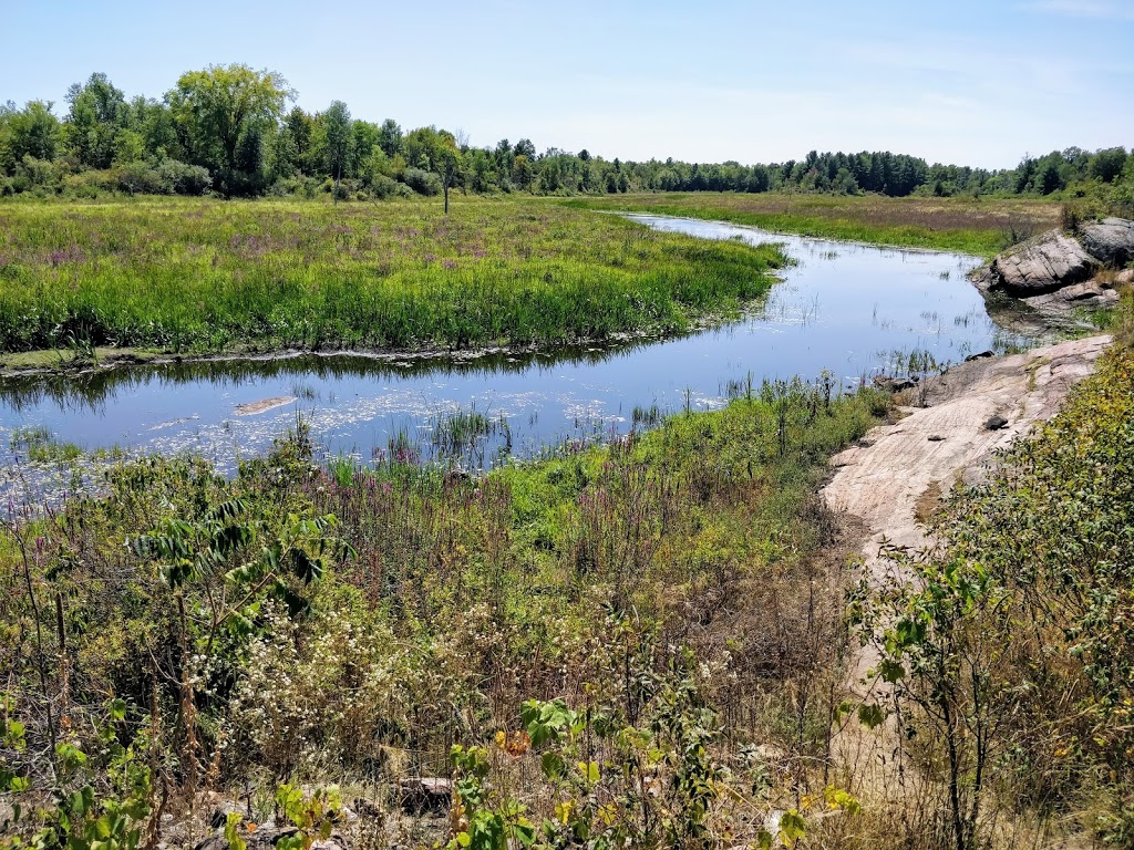 Silver Queen Trail Parking Lot | Tay Valley, ON K7H 3C7, Canada