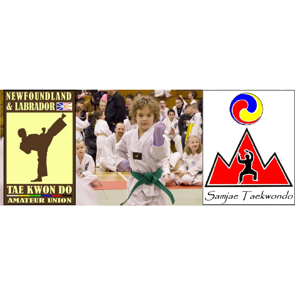 Samjae Taekwondo Martial Arts School | 1277 Topsail Rd, Paradise, NL A1L 1E8, Canada | Phone: (709) 693-6616