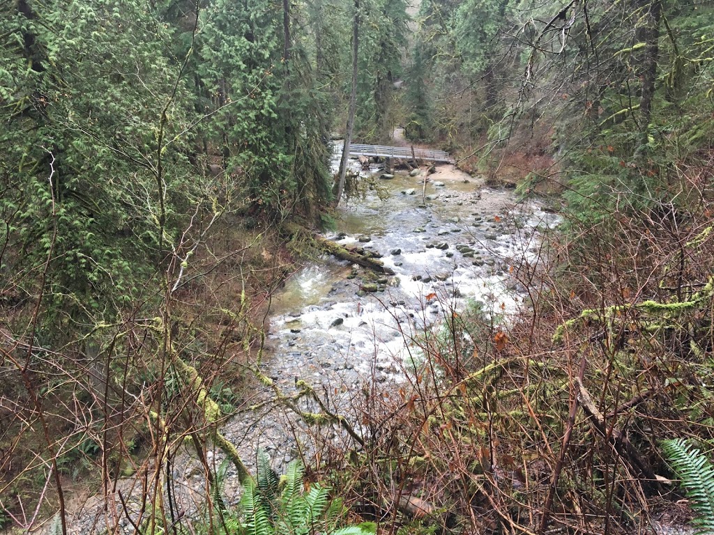 North Fork Loop Trail, | N Fork Loop Trail, Maple Ridge, BC V4R 1E3, Canada