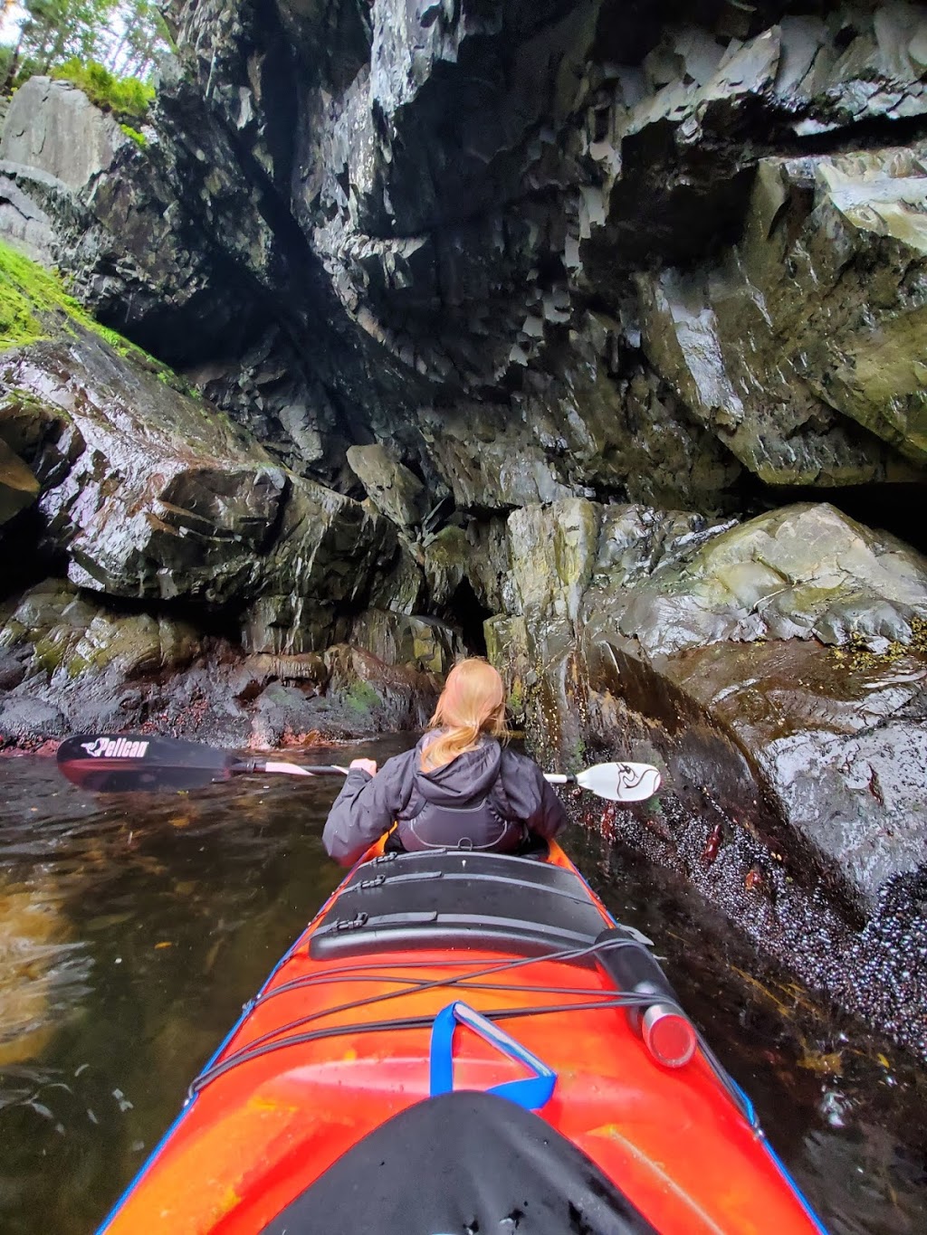 A Wilder Experience | 20 Southside Rd, Cape Broyle, NL A0B 0B2, Canada | Phone: (709) 432-2180