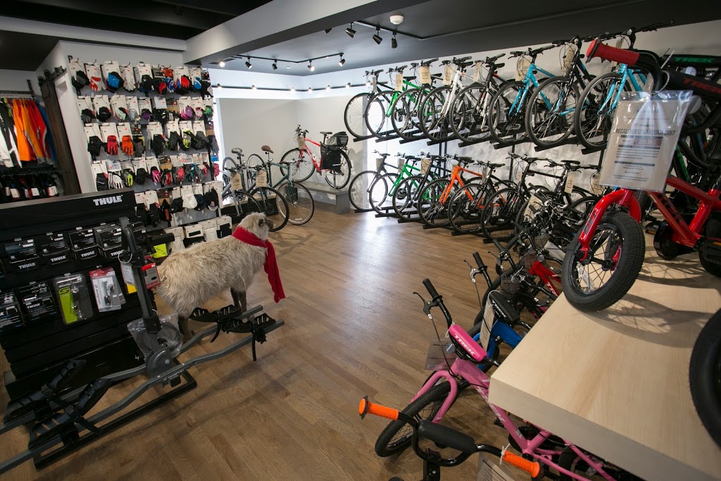 PLANÈTE CYCLE & SKI | 681 Rue Sherbrooke, Magog, QC J1X 2S4, Canada | Phone: (819) 843-8356