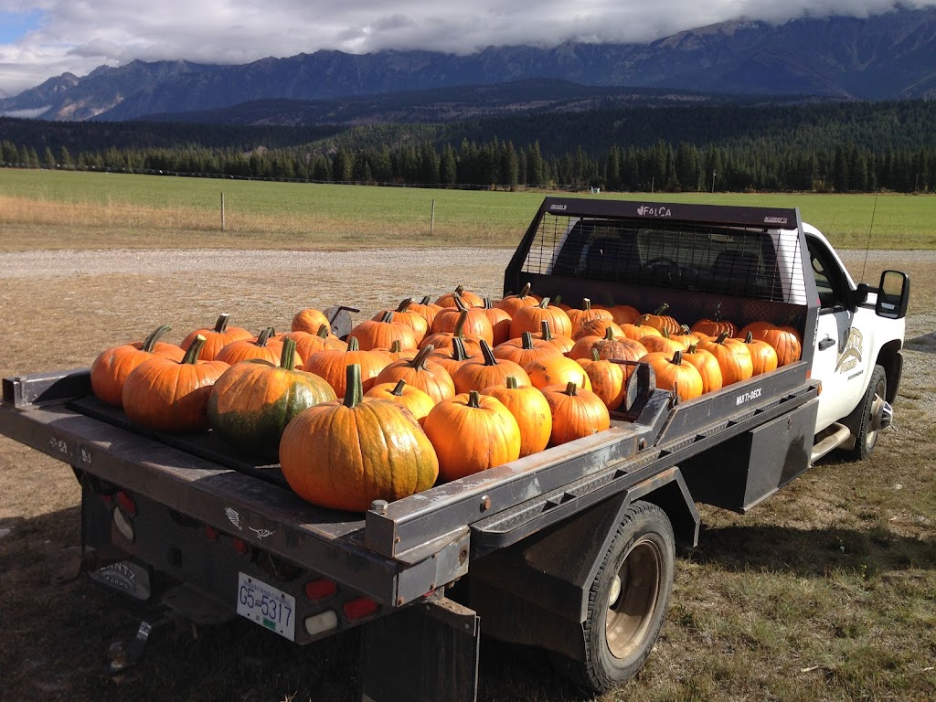 Lantz Farms | 5132 BC-95, Skookumchuck, BC V0B 2E0, Canada | Phone: (250) 420-1660