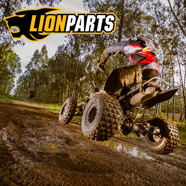 Lionparts.com | 1083 Main St, Champlain, NY 12919, USA | Phone: (800) 983-2210