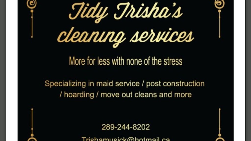 Tidy Trishas Cleaning Services | Hamilton, ON L9C 4J8, Canada | Phone: (289) 244-8202