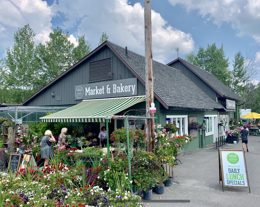 Field Of Greens | 1 Bruce wilson drive, Port Carling, ON P0B 1J0, Canada | Phone: (705) 765-1895