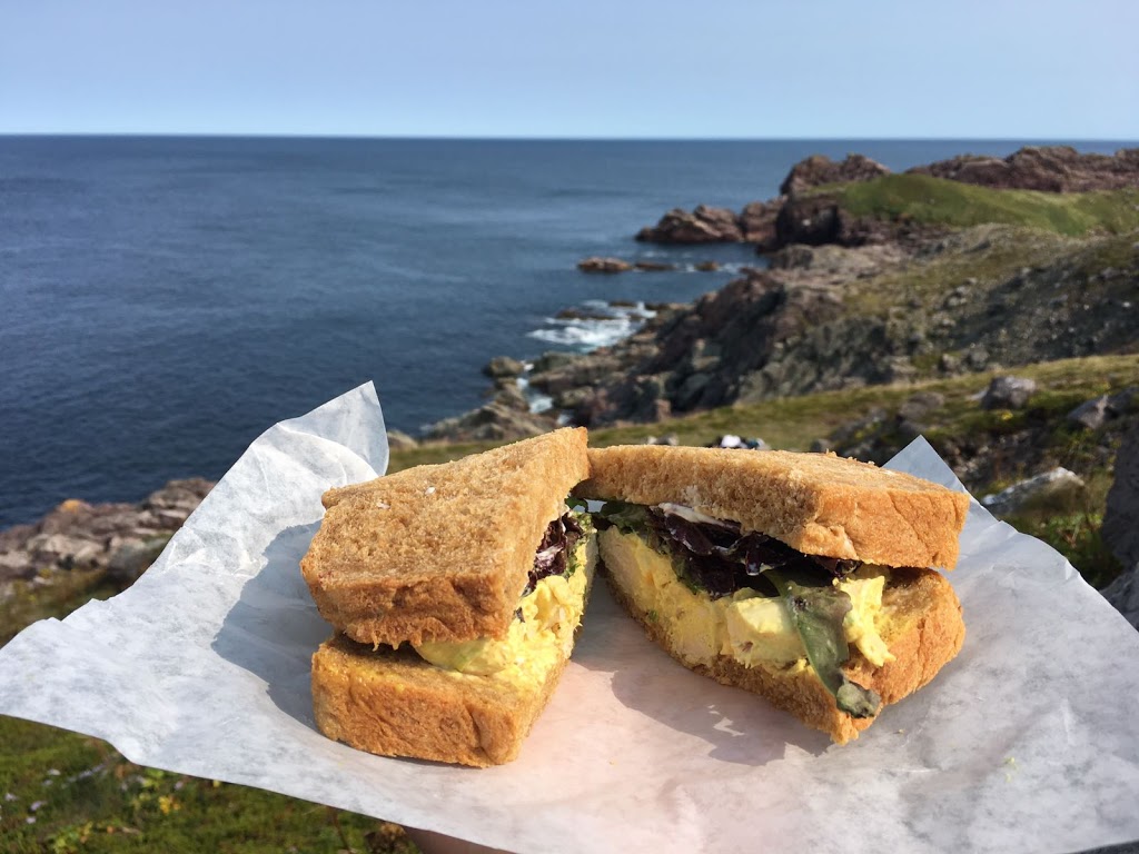 Lighthouse Picnics | 1 Lighthouse Rd, Ferryland, NL A0A 2H0, Canada | Phone: (709) 363-7456