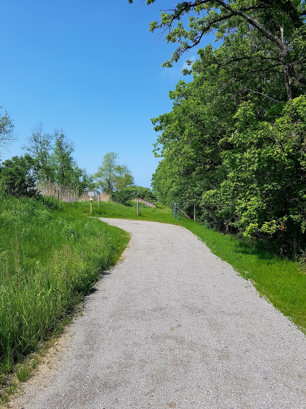 Biggar Lagoon Wetlands Bird Viewing Platform | 624 Winston Rd, Grimsby, ON L3M 4E8, Canada