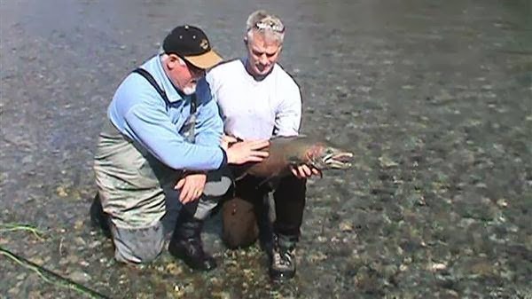 River Quest Charters | 5650 West Riverbottom Rd, Duncan, BC V9L 6H9, Canada | Phone: (250) 748-4776