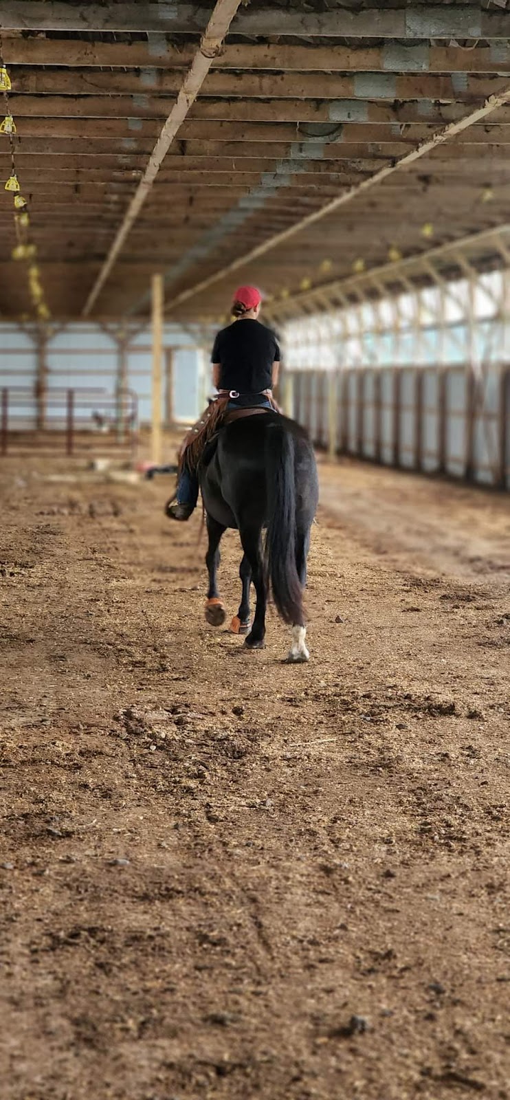 Restless Equine | 1888 Dodge Road, Forest Glade Rd, Annapolis County, NS B0P 1R0, Canada | Phone: (905) 396-1999