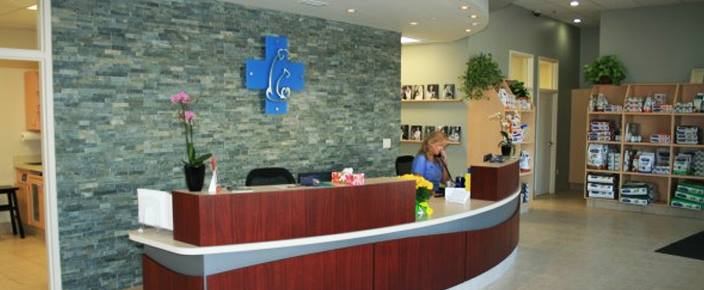 North Hill Animal Hospital | 12612 Hwy 50 #11, Bolton, ON L7E 1T6, Canada | Phone: (905) 857-5057