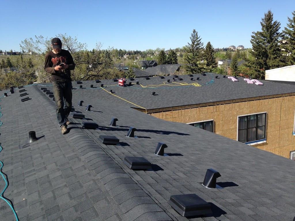 Tiger Roofing Ltd. | 1617 34 Ave SW #5, Calgary, AB T2T 2B3, Canada | Phone: (403) 990-2158