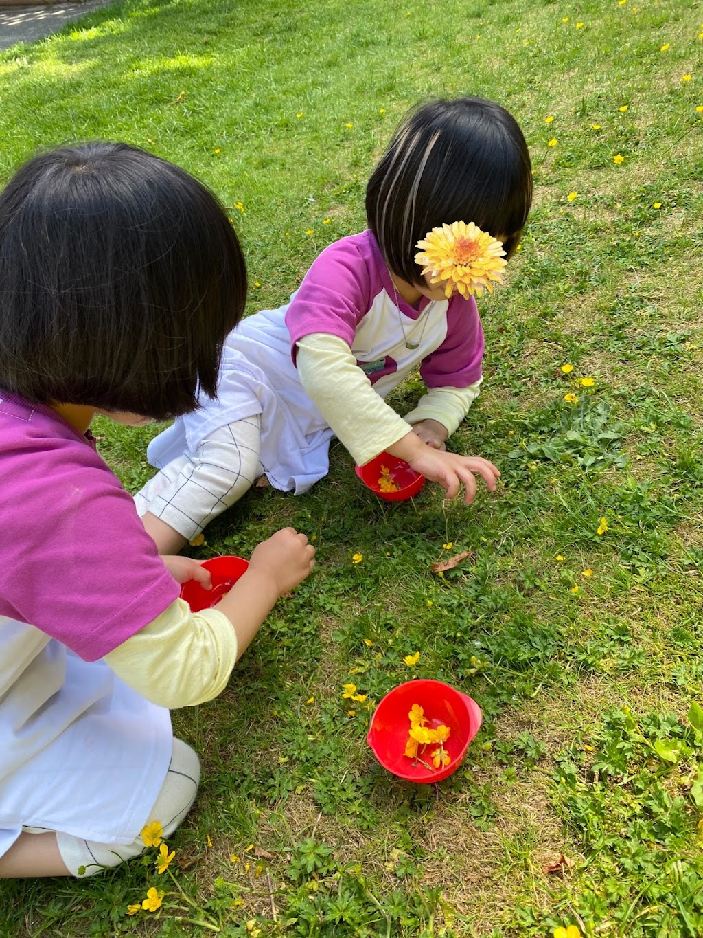 young of green gables early learning | 4662 208b St, Langley, BC V3A 7E6, Canada | Phone: (778) 366-8252