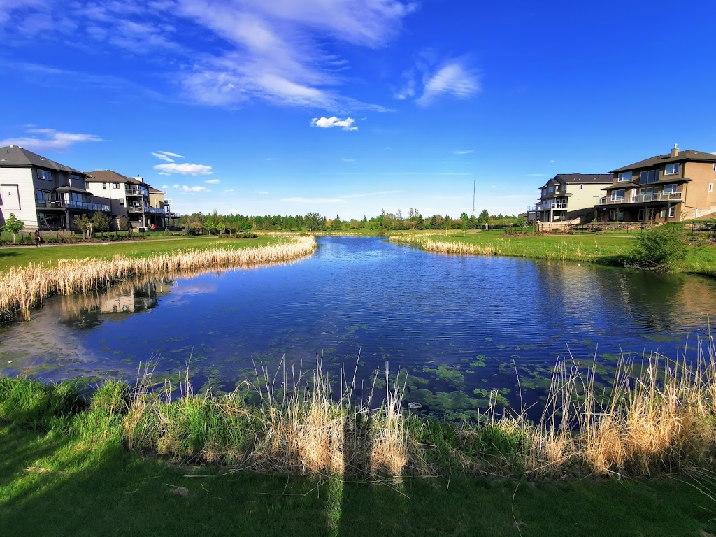 Lewis Estates Golf Course | 260 Suder Greens Dr NW, Edmonton, AB T5T 4B7, Canada | Phone: (780) 489-4653