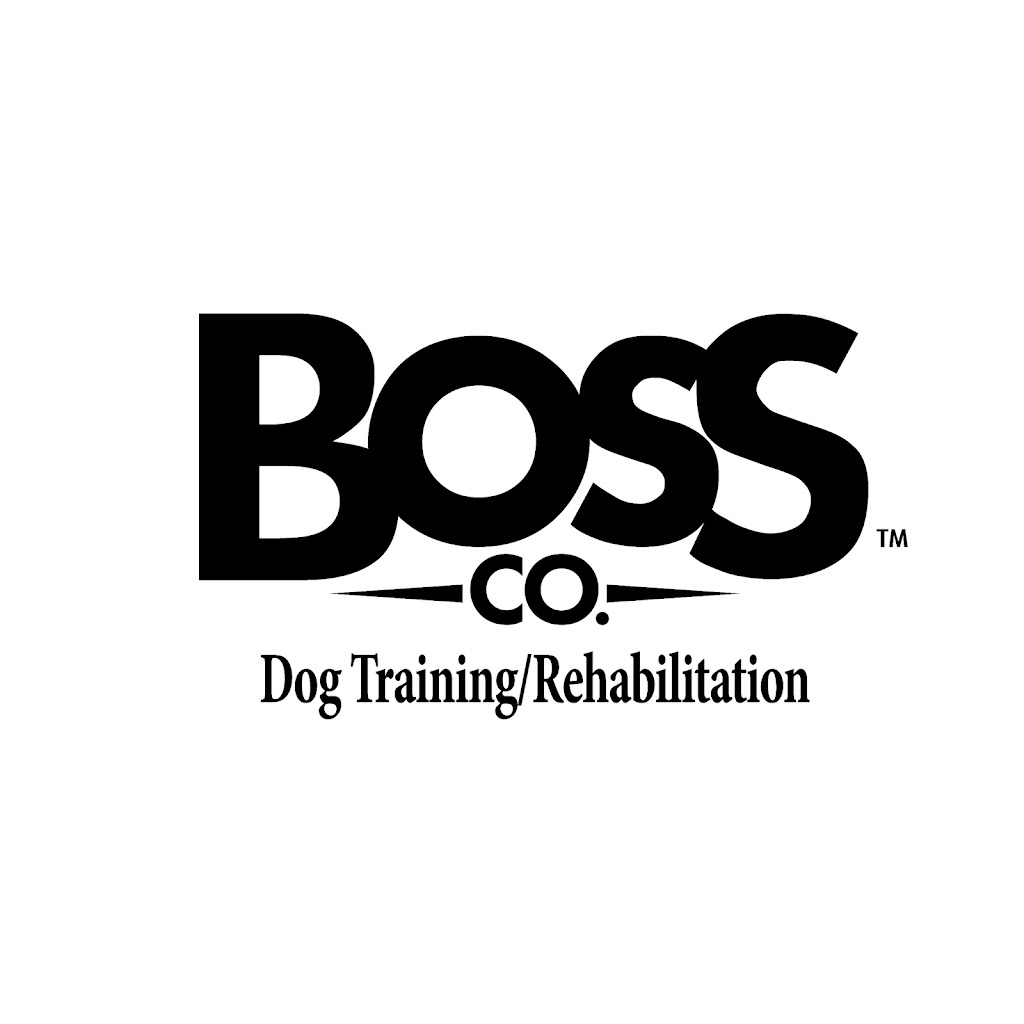 Boss Co Dog training and rehabilitation | 45 Robertson Dr, Stratford, ON N5A 0J6, Canada | Phone: (416) 903-1124