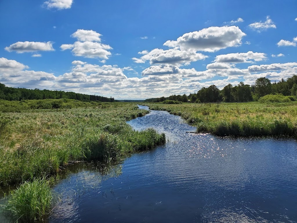 Bear Lake Hiking Trail | Provincial Trunk Hwy 44, Falcon Beach, MB R0E 0N0, Canada | Phone: (204) 369-3157