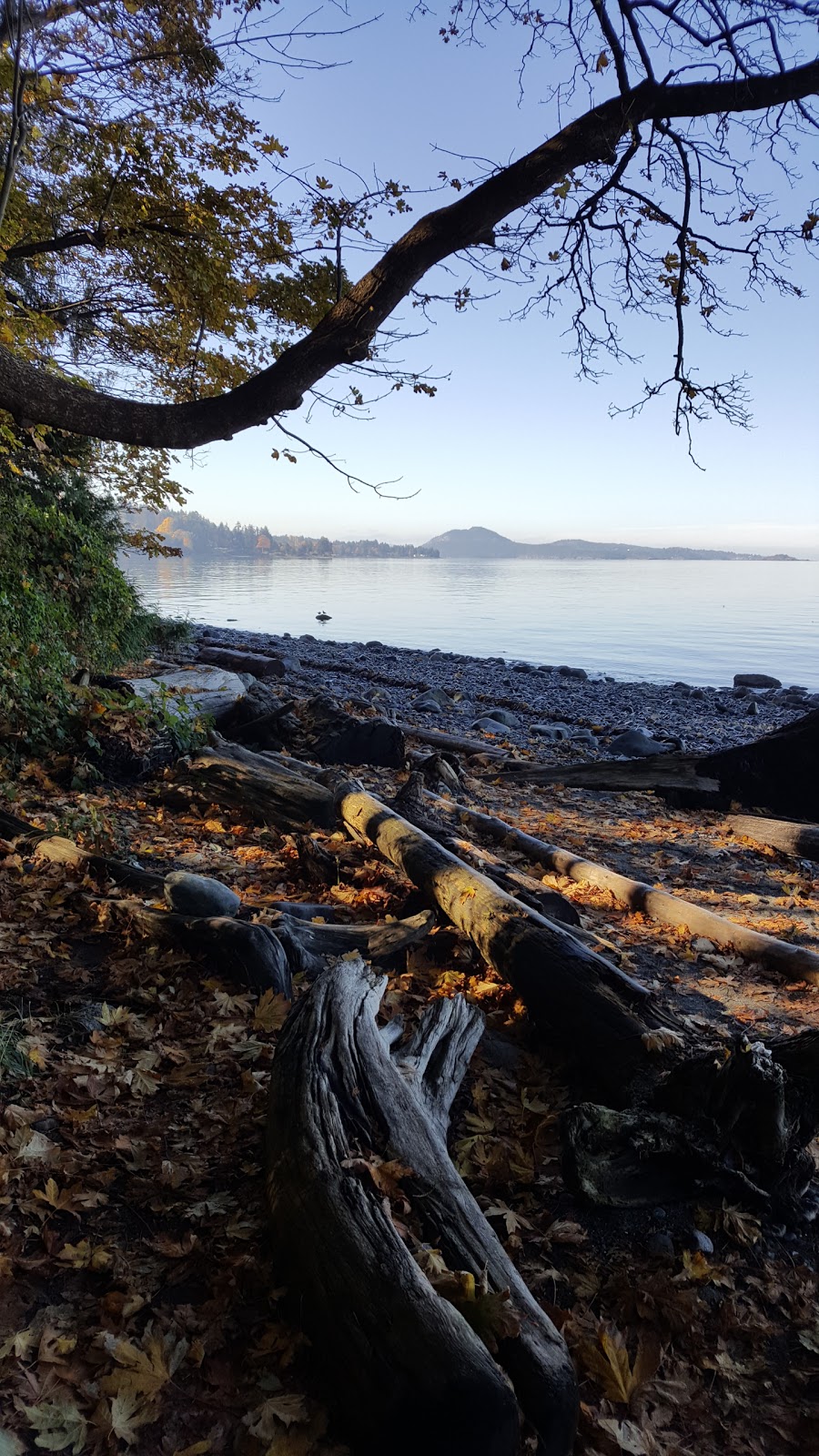 Blueback Beach Access | 6300 Icarus Dr, Nanaimo, BC V9V 1B5, Canada | Phone: (250) 754-4251