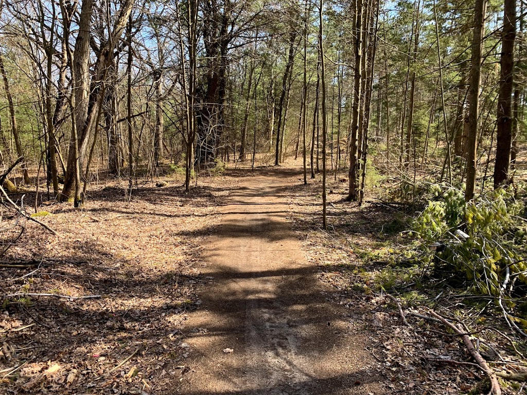 Beagle Club Trailhead, Northumberland County Forest | Beagle Club Rd, Harwood, ON K0K 2H0, Canada | Phone: (905) 372-3329