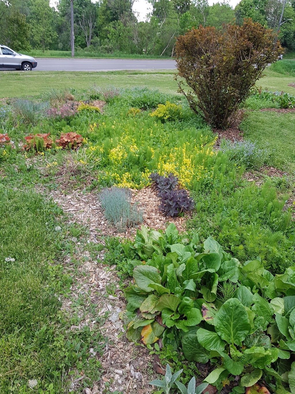 Monarch Waystation Butterfly Garden | Northglen, Oshawa, ON L1J 5A3, Canada