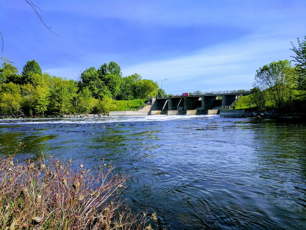 Beryl Gaffney Park | Ottawa, ON K2G, Canada