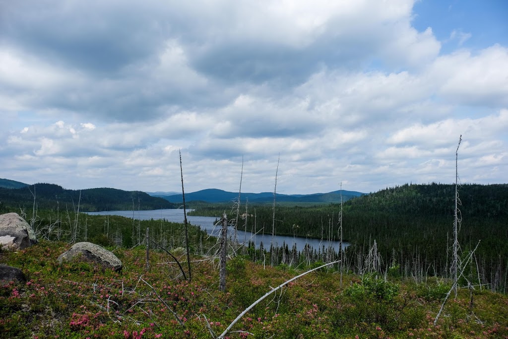 Grands-Jardins National Park | 21 QC-381, Saint-Urbain, QC G4A 1C2, Canada | Phone: (800) 665-6527