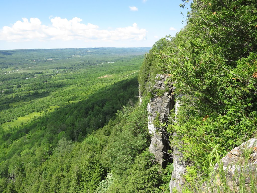 Old Baldy Conservation Area | 120 Old Baldy Access Rd, Kimberley, ON N4K 5N6, Canada | Phone: (519) 376-3076