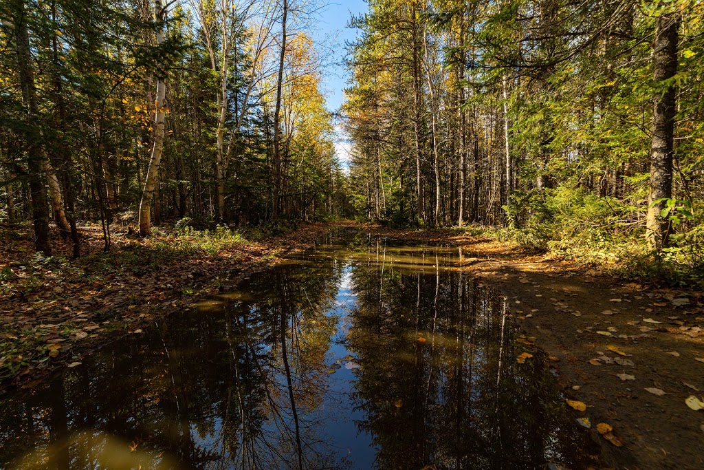 Centre de Plein Air Les Sources Joyeuses | 141 Rang Sainte Madeleine, La Malbaie, QC G5A 2T2, Canada | Phone: (418) 665-4858