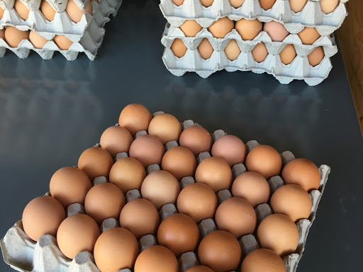 The Egg Store | 1219 Clearbrook Rd, Abbotsford, BC V2T 5X3, Canada | Phone: (604) 852-8856