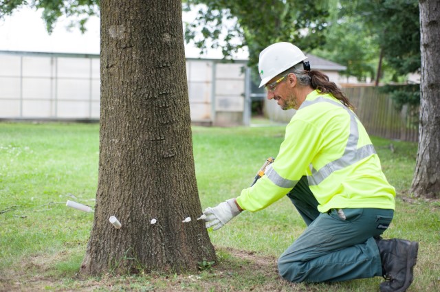 Davey Tree Expert Co. of Canada, Limited | 10 Jethro Rd, North York, ON M3L 1G9, Canada | Phone: (416) 241-7191