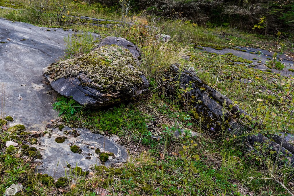 Petroglyphs Provincial Park | 2249 Northeys Bay Rd, Woodview, ON K0L 3E0, Canada | Phone: (705) 877-2552