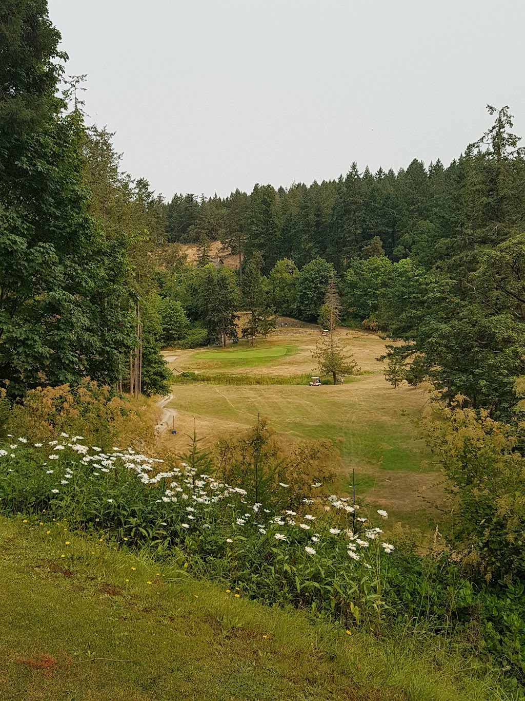 Pender Island Golf & Country Club | 2305 Otter Bay Rd, Pender Island, BC V0N 2M1, Canada | Phone: (250) 629-6659