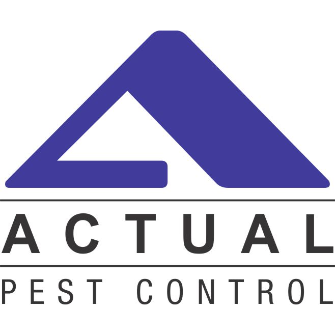 Actual Pest Control | 17 Sunburst Square, Scarborough, ON M1B 1R3, Canada | Phone: (647) 968-5258